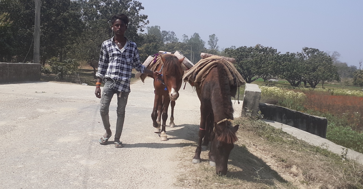 आफूले बनाएका लोहोरो सिलौटो घोडालाई बोकाएर बेच्न हिँडेका रामा। तस्बिर : रोहित महतो